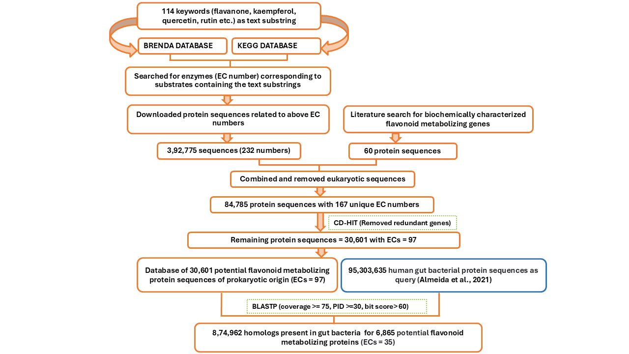 Flowchart Image